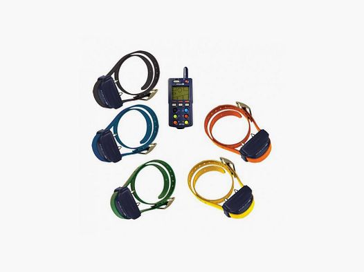Trainingshalsband Dogtra PAC EXT 5-3000