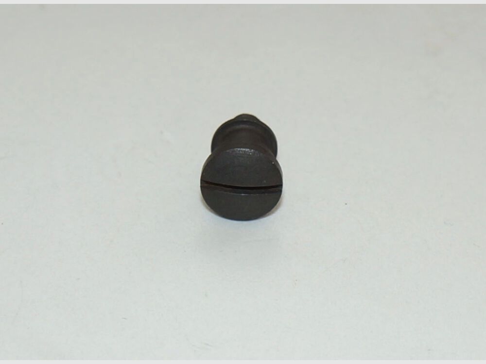 Weapon Factory Bern Used Cover Plate Screw for Swiss Service Revolver 29