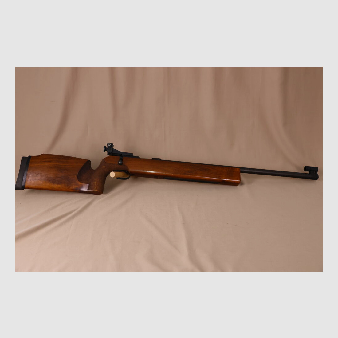 Carl Walther Match