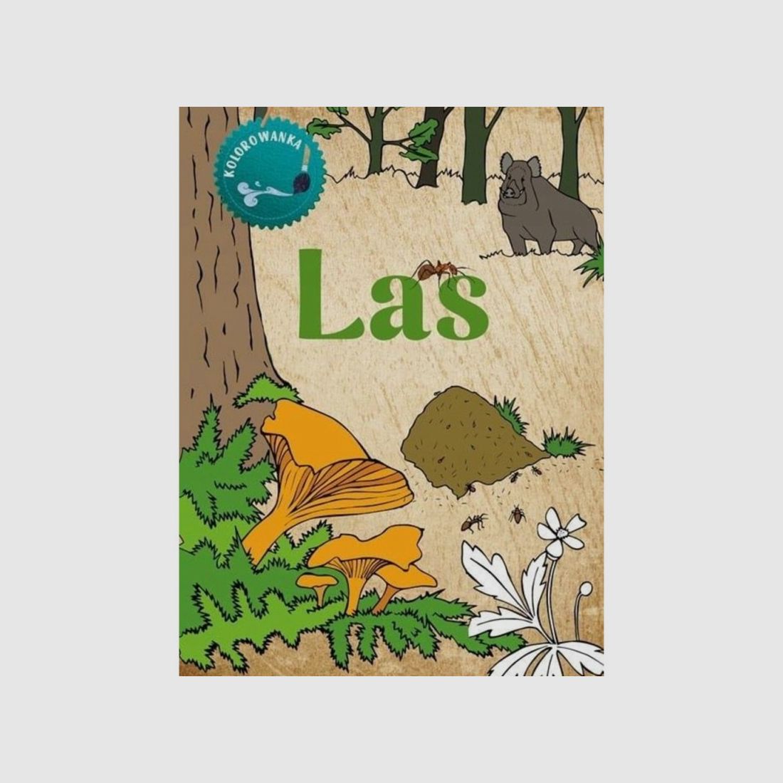 LIBRO PARA COLOREAR – BOSQUE