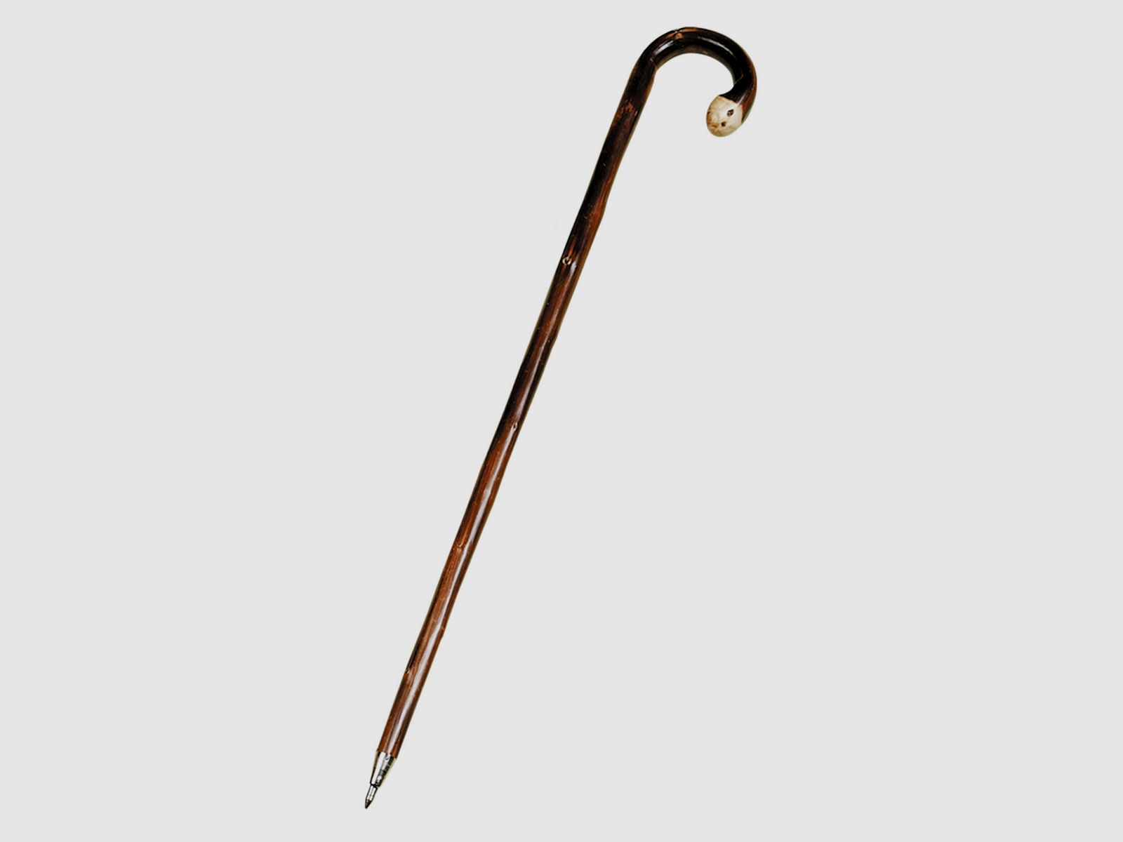 Fritzmann Wurzelstock gefl.