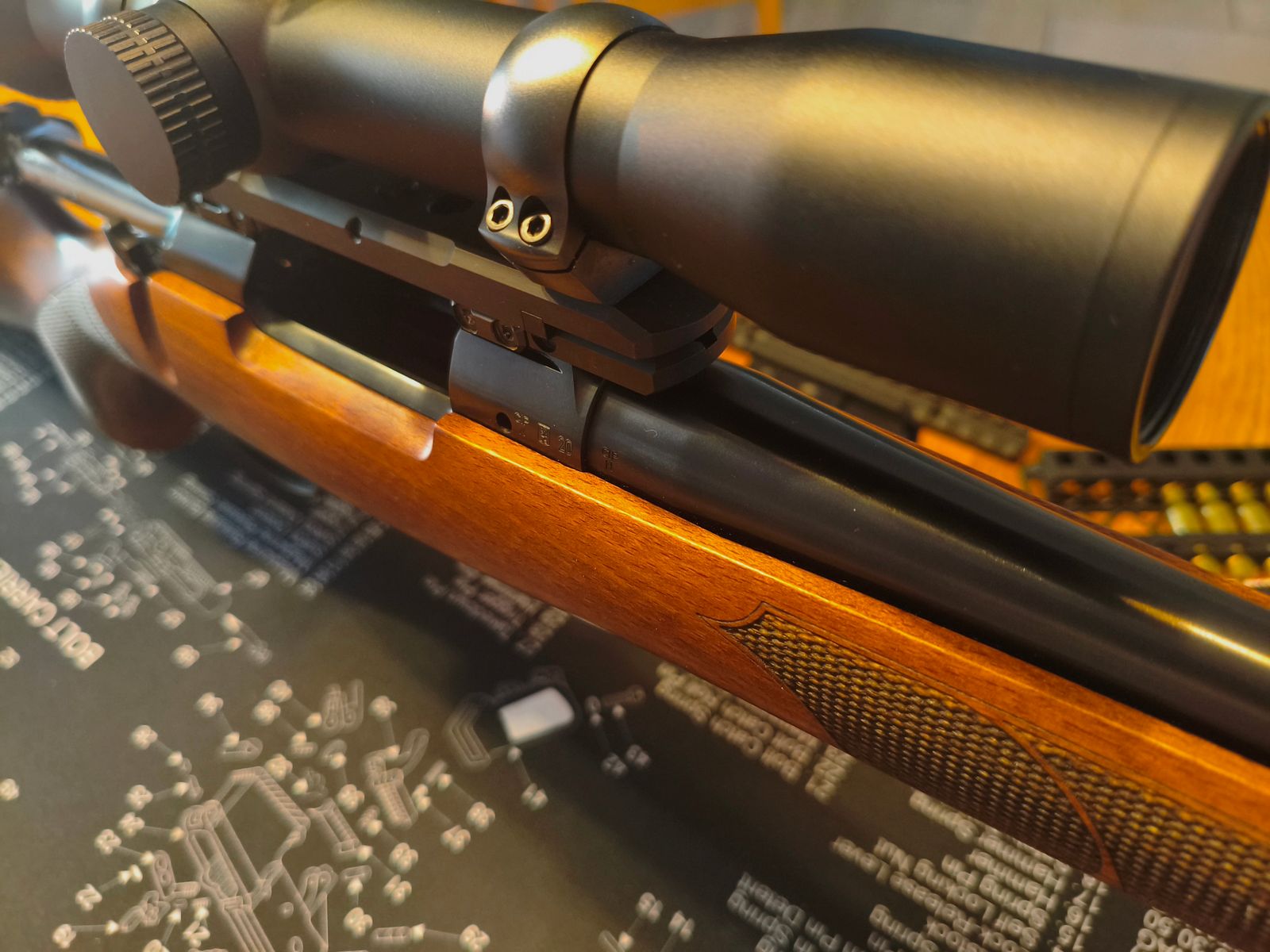 CZ 557 RANGER(R) in .308 WIN komplett mit GPO SPECTRA und DENTLER