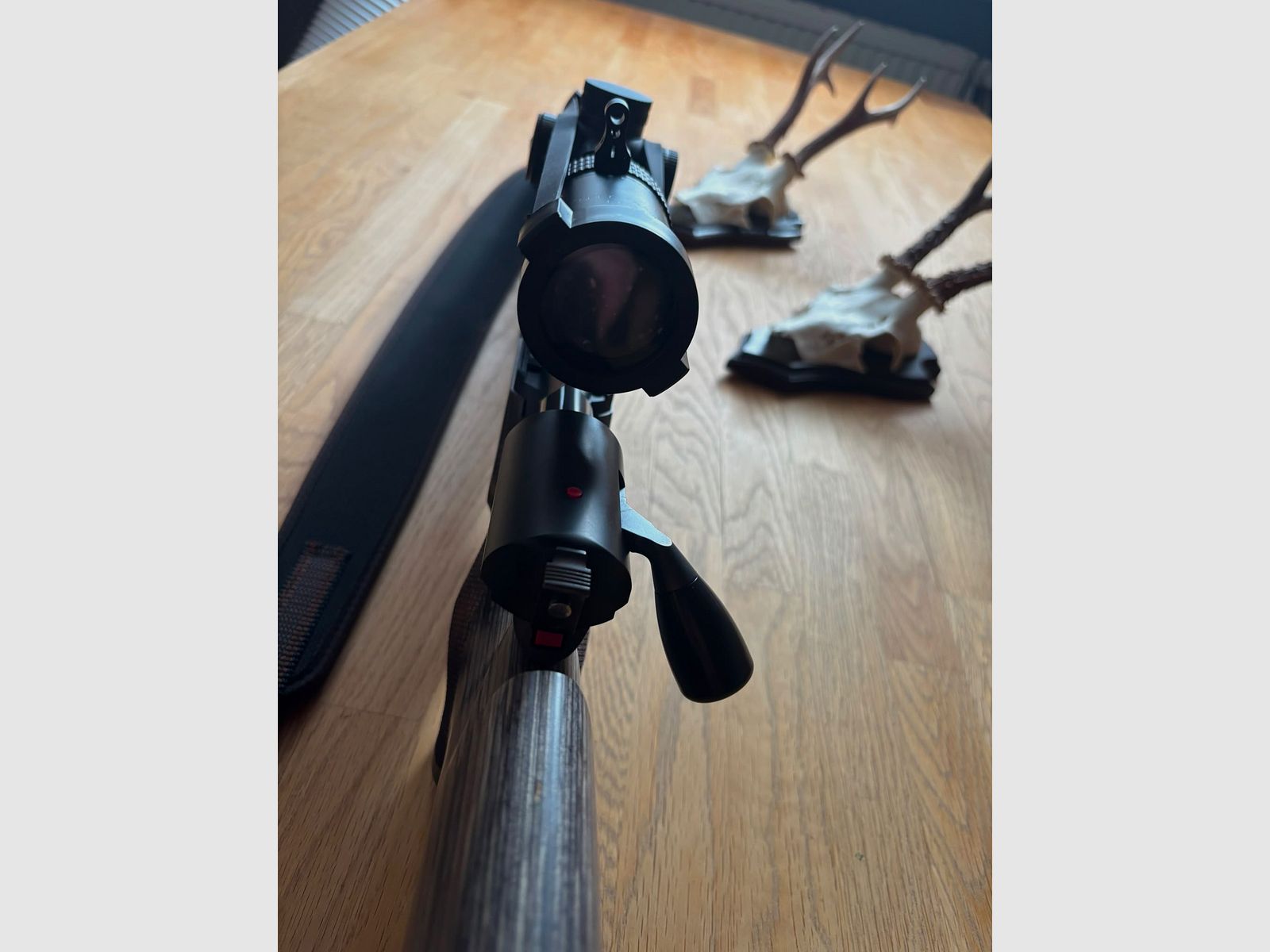 Strasser RS Solo Evolution ( 308 ) like new condition
