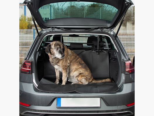 Premium Trunk and Dirt Catch Mat