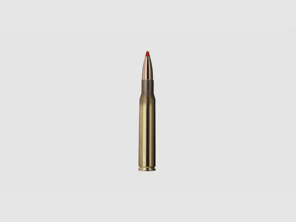 Geco Express 165grs 20St .30-06Spring