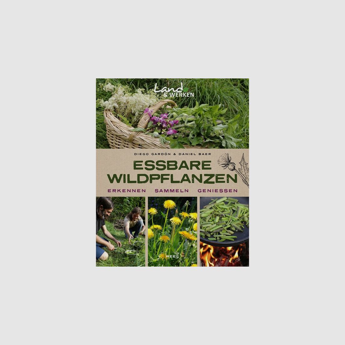 Essbare Wildpflanzen - erkennen, sammeln, genießen - Neuware - 120 Seiten- Softcover