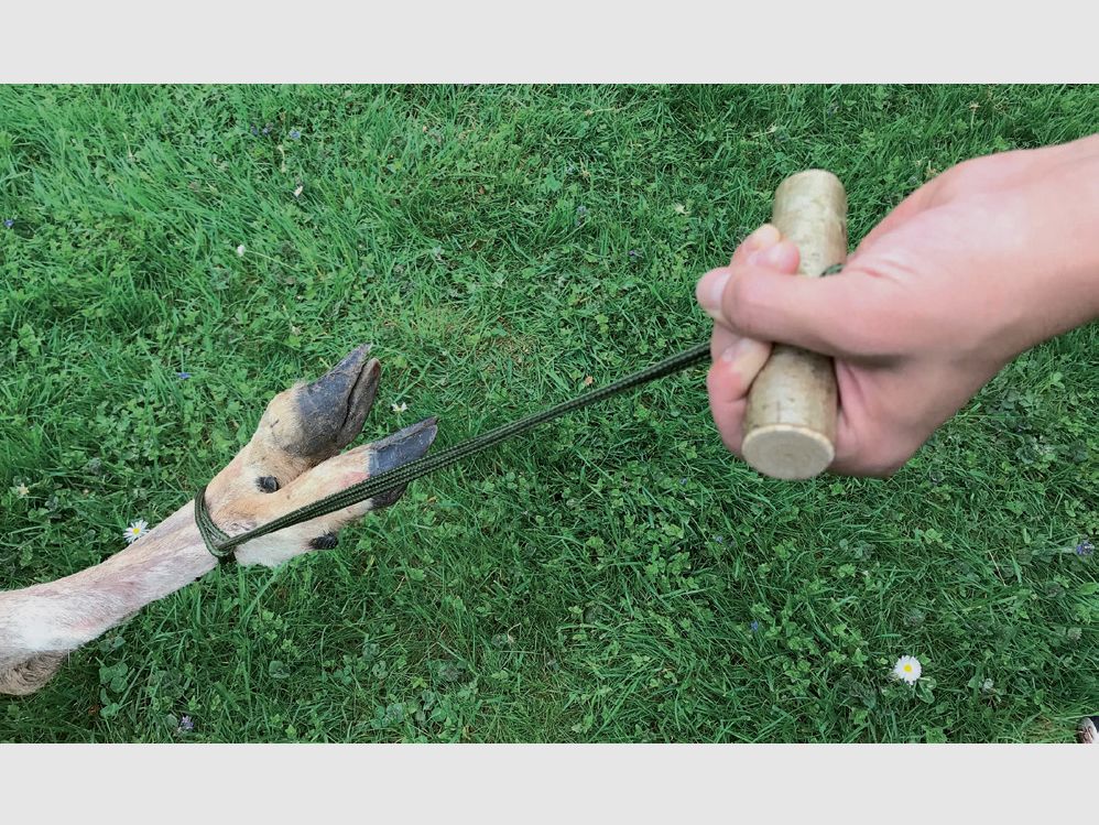 Kieferle's Wildberger