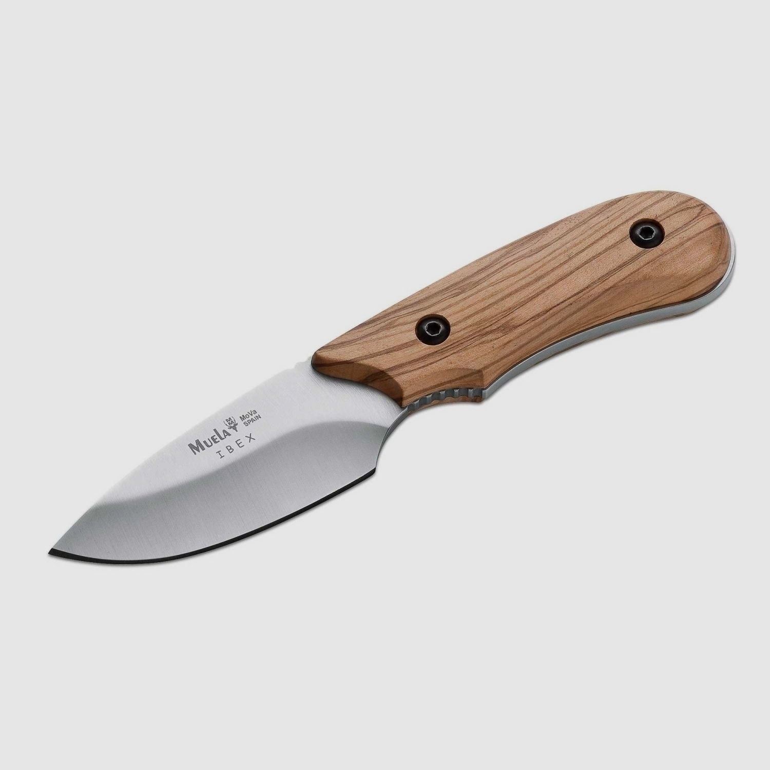 MUELA IBEX OLIVE hunting knife olive wood high-quality leather sheath
