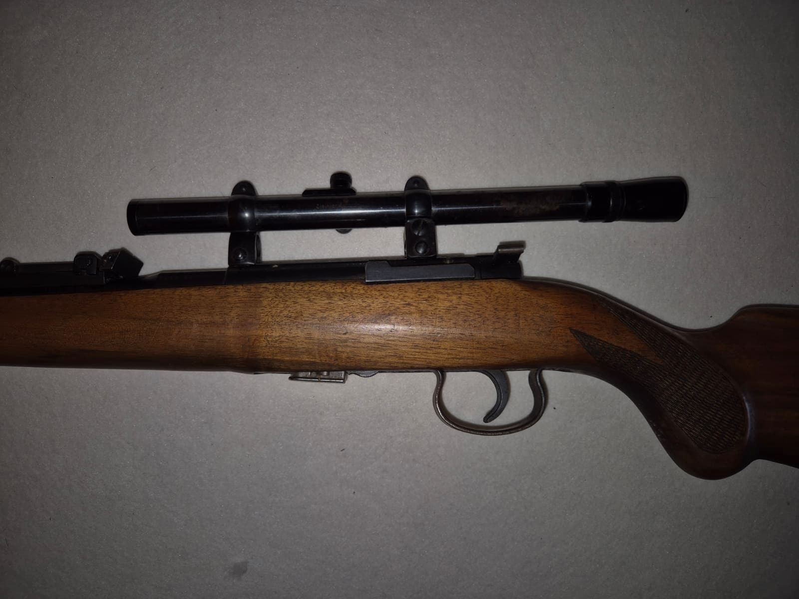 small caliber rifle