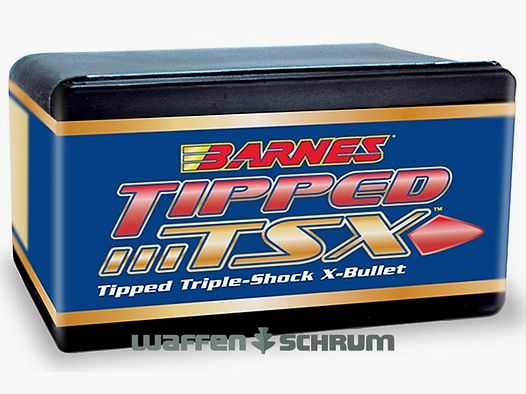 Barnes Brenneke TTSX BT 9,1g - 140gr. 7x64