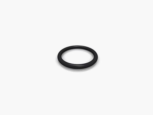Weihrauch HW100 O-Ring Nr. 2658