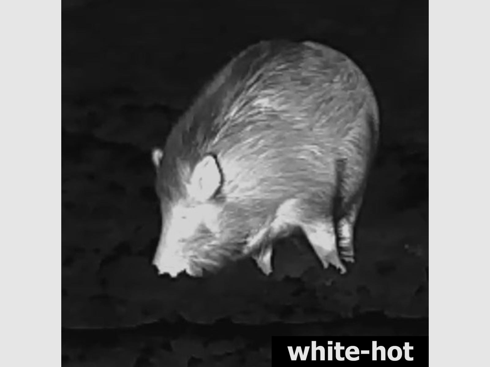 Lahoux Spotter NL 650 Wärmebildkamera