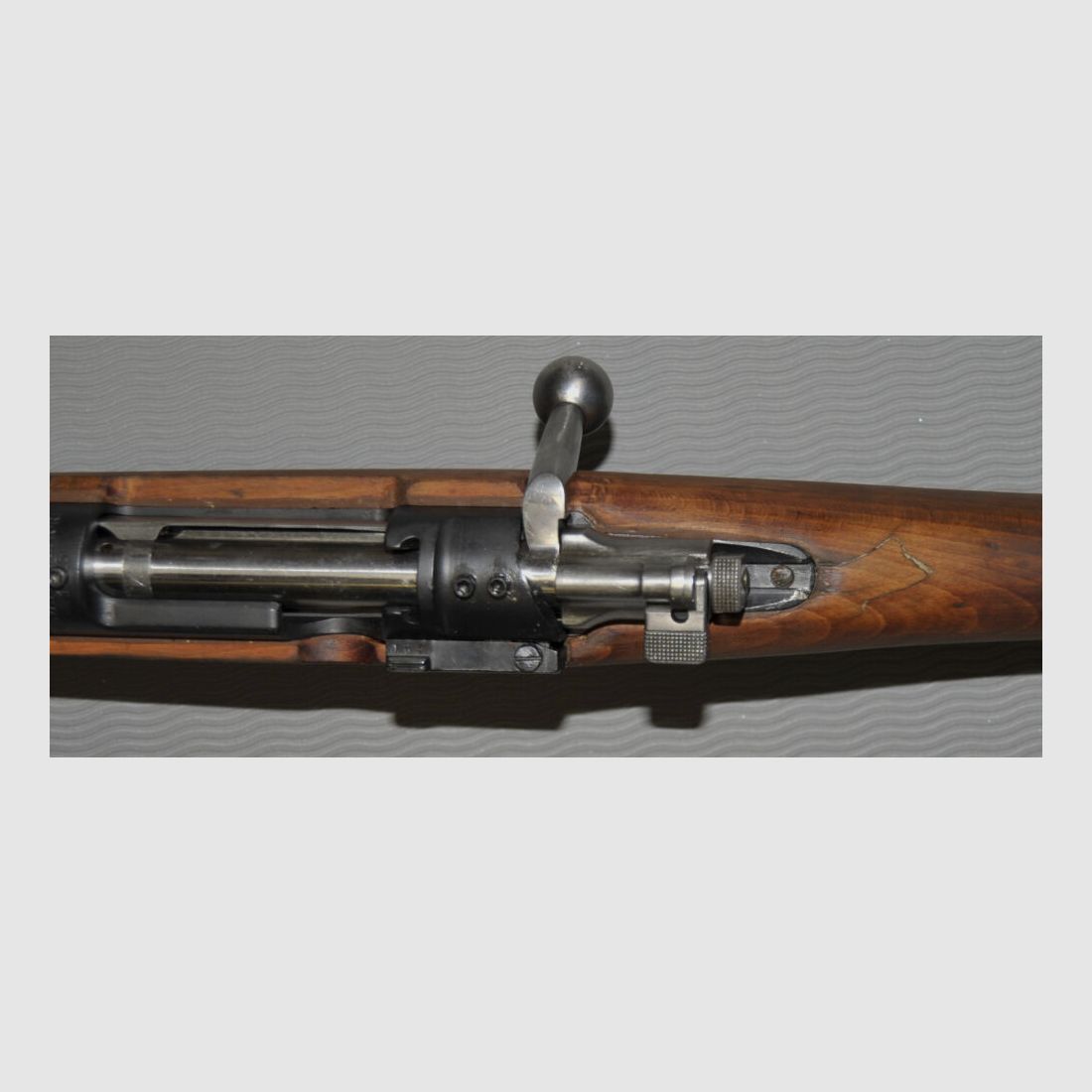 Carl Gustafs M 96