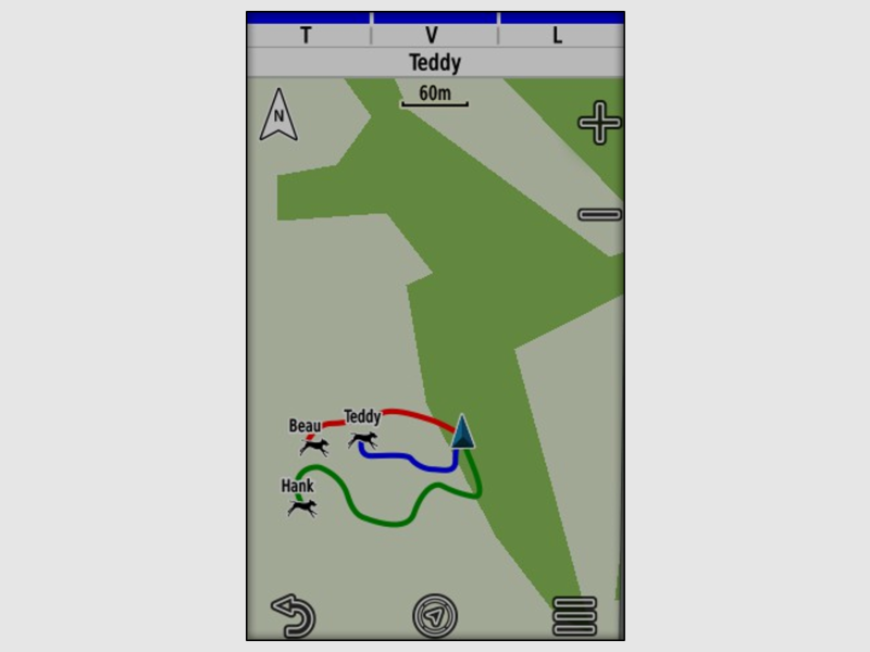Pack GPS Garmin Alpha 200F Plus TT25R Versione F, immagine 7 di 16