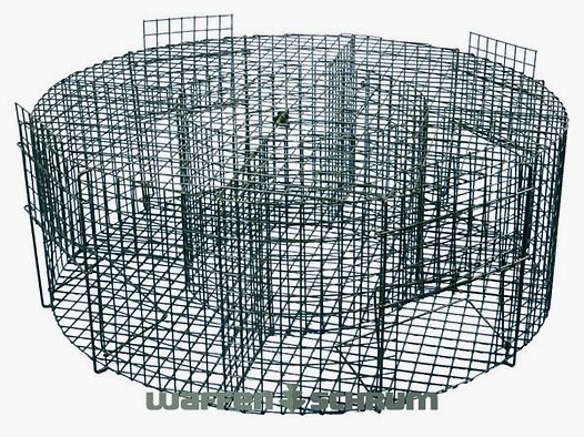 DAUTH distribution live catch trap wire for magpies