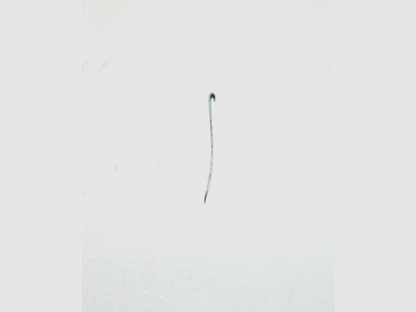 Weapon factory Bern used trigger spring for Swiss service pistol Parabellum 1900, caliber 7.65mmPara, W+F P08