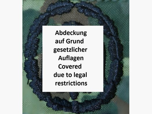 BW Leistungsabzeichen Flecktarn