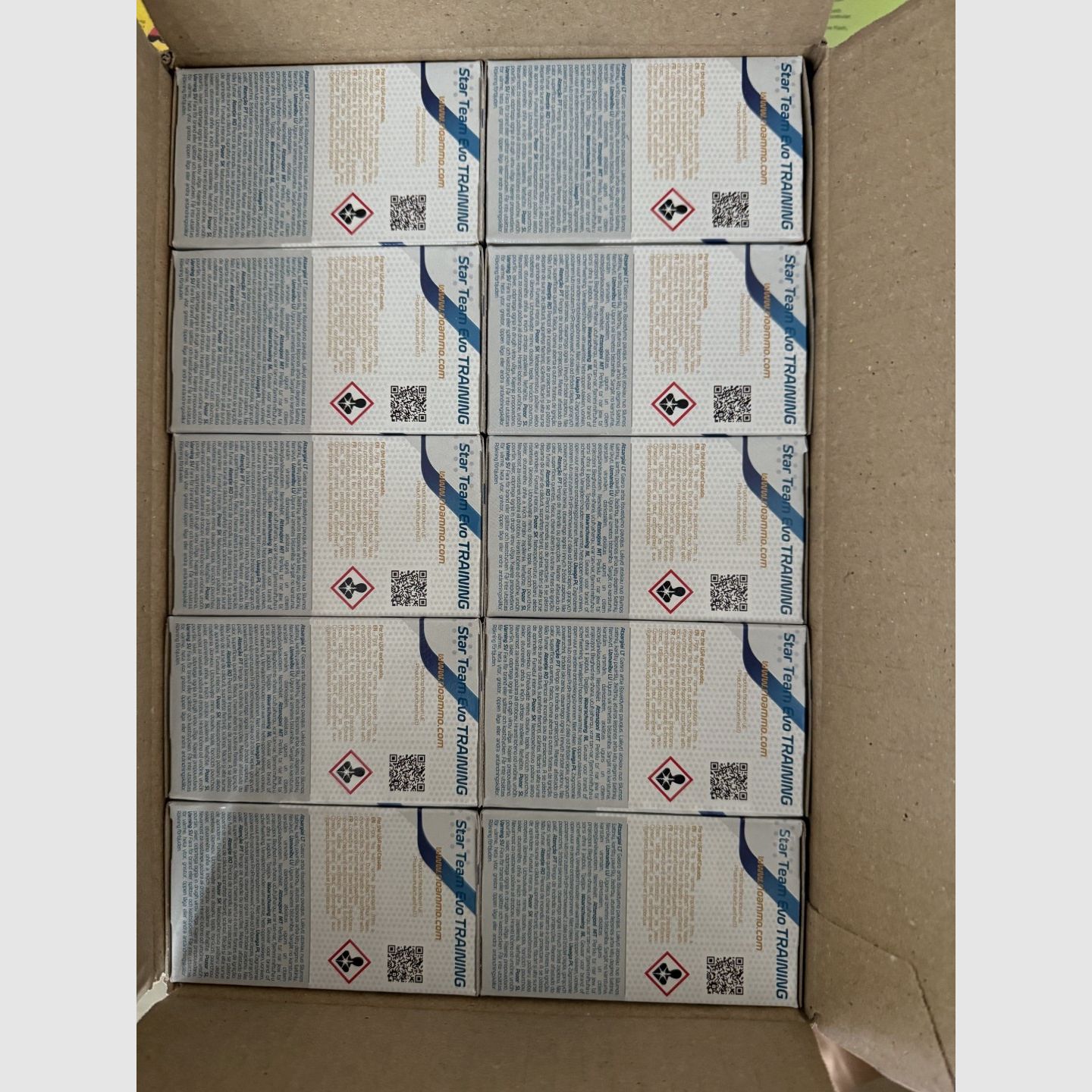 RIO Star Team Evo Training 24 caliber 12/70 24g (No. 9) skeet ammunition