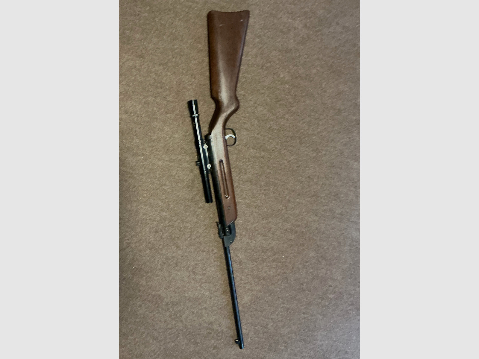 Air rifle with scope