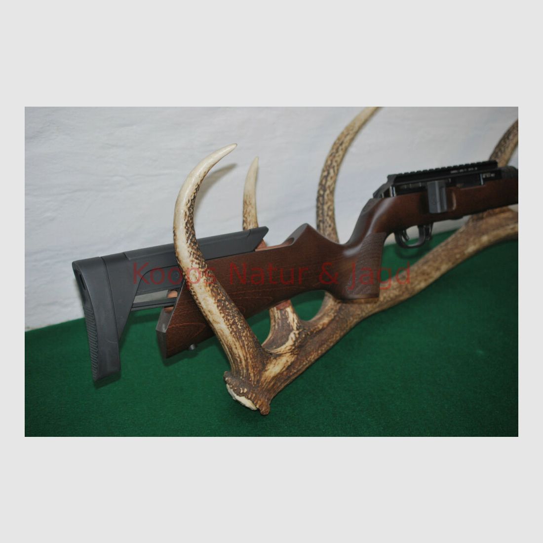 Hammerli Arms Force B1