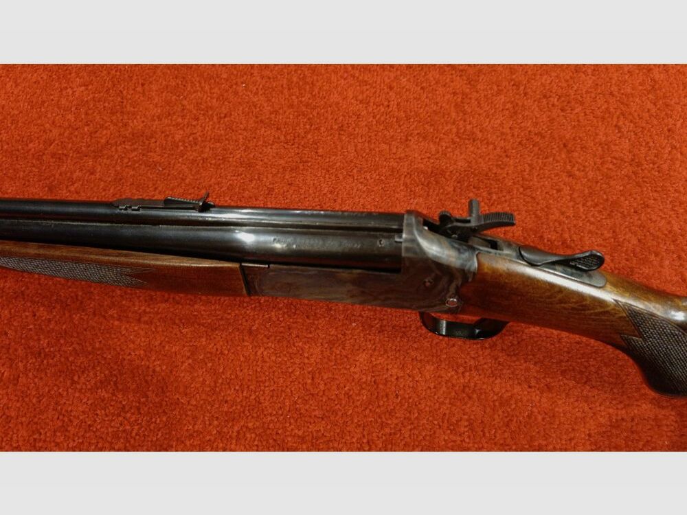 Savage unbekannt .22lr;.410/76
