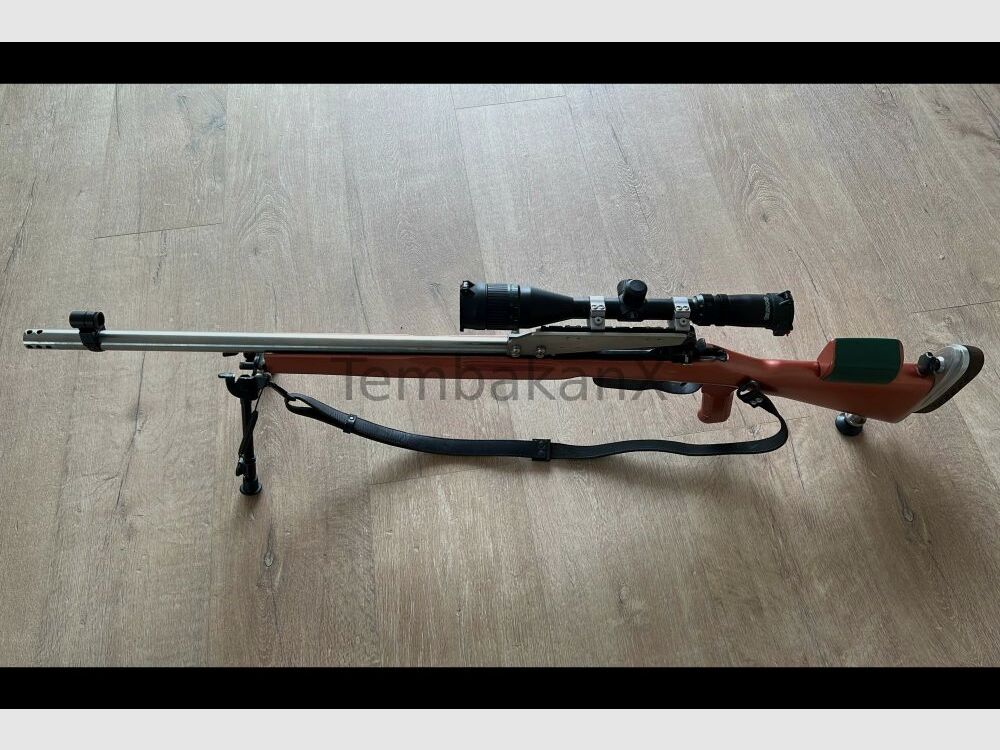 Styria Arms M95 Modifiziert/Umbau .308Win