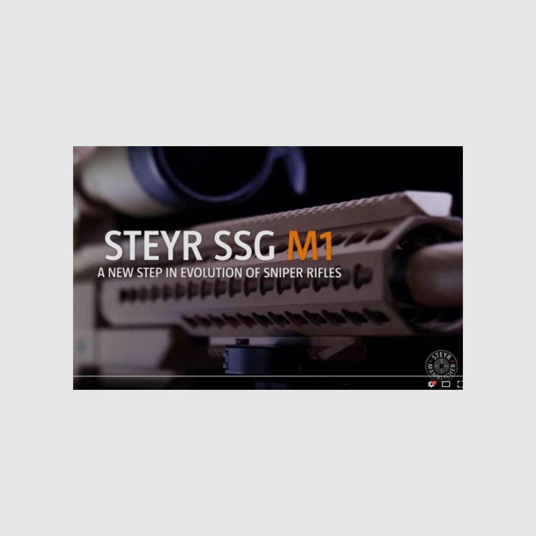 Steyr SSG M1, immagine 4 di 4