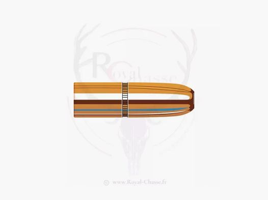 50 ogives Cal.423 D.423 400Grs DGS HORNADY