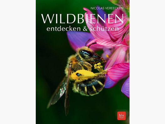 Gräfe & Unzer Wildbienen entdecken & schützen