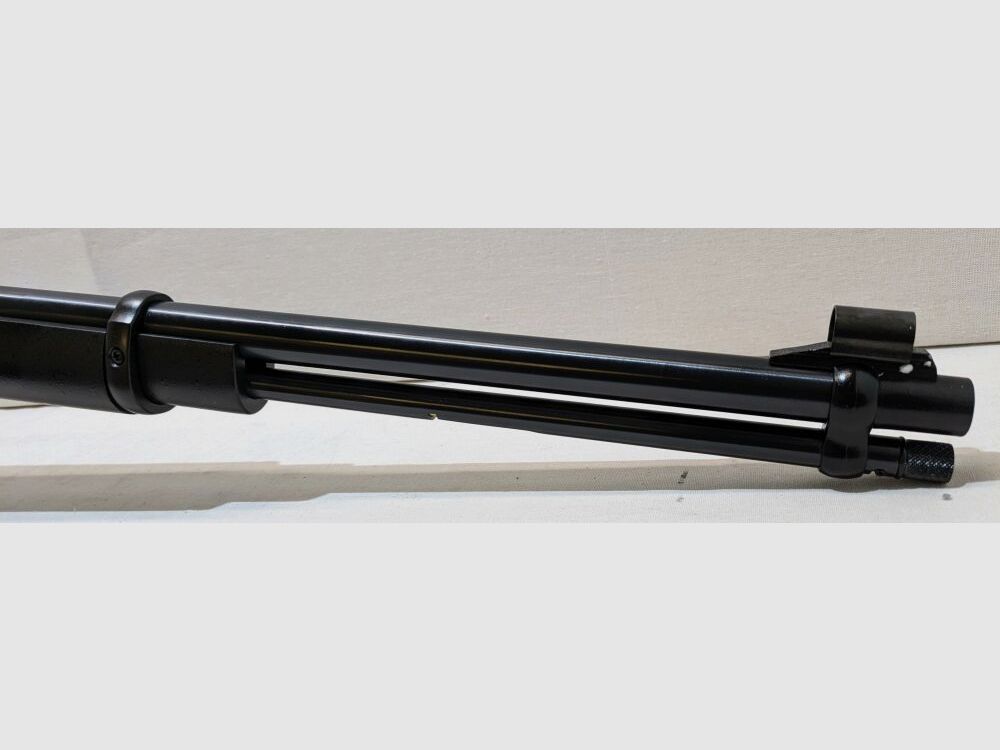 Chiappa Kodiak