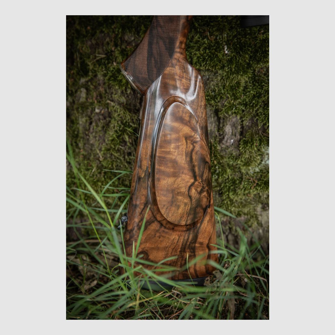 Sauer & Sohn Custom by Mohring Jagdwaffen Sauer 80 Custom Luxus