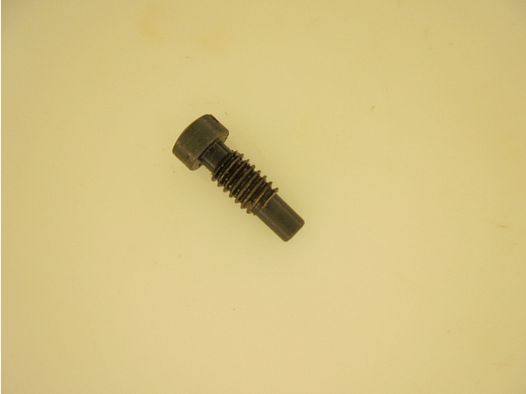 VIS RESSORT CHIEN BRONZE TYPE 2 SMITH&WESSON
