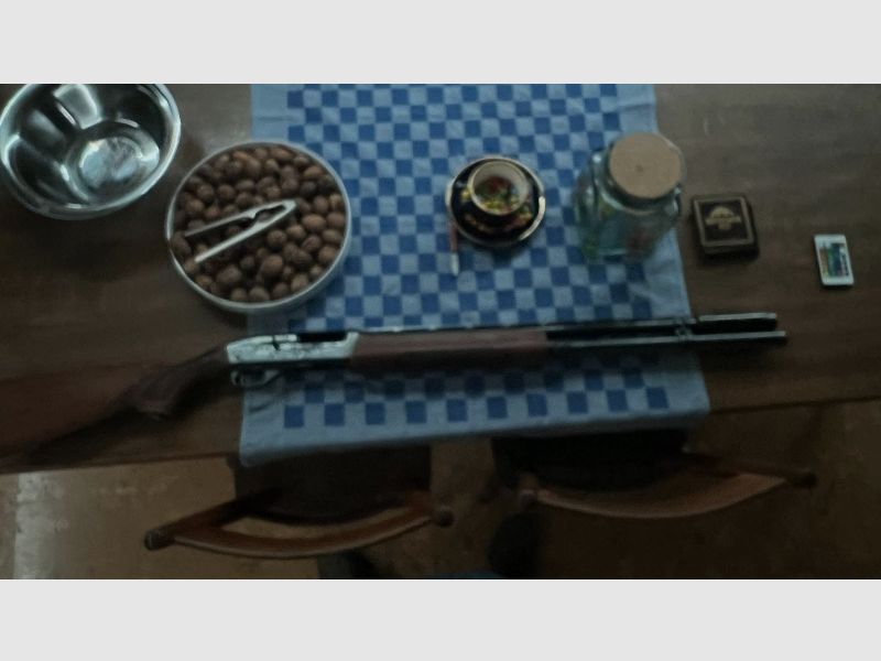 Fucile a ripetizione automatica - Remington 1100