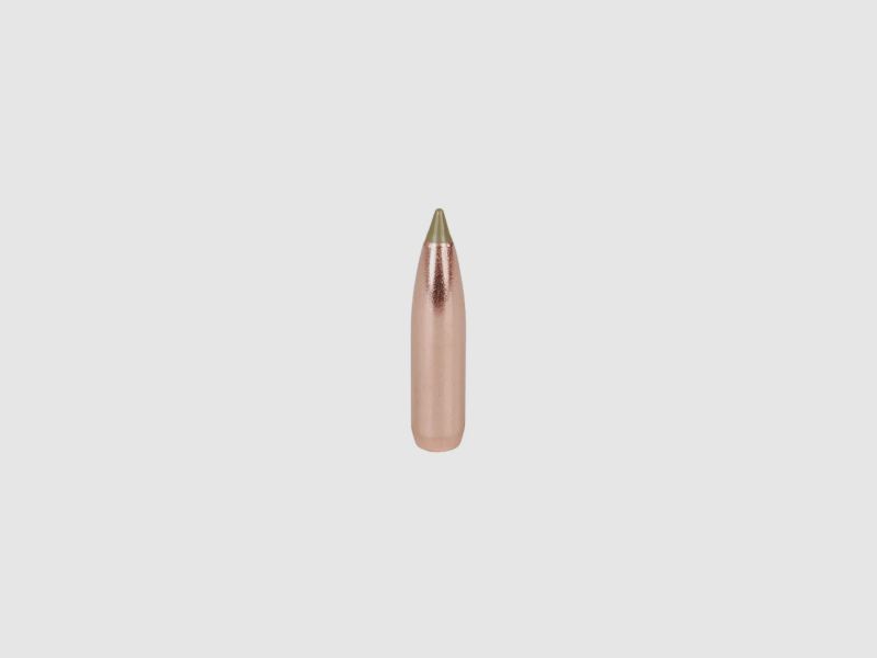 Balle Nosler 7,62x39/.311 E-Tip 123GR Tipped Boat Tail 50 pièces