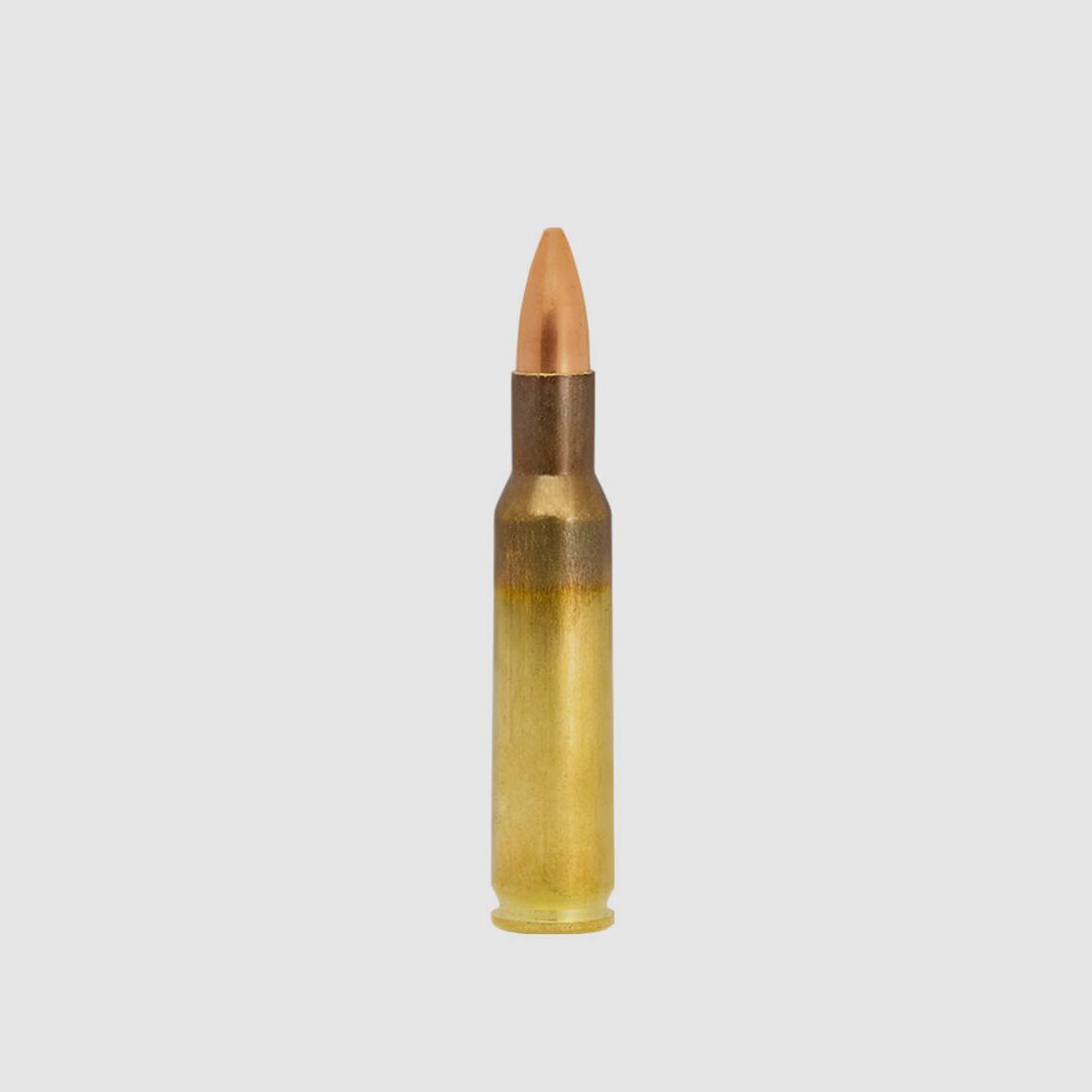 Lapua FMJ 3.6g / 55gr. 20 shots .222Rem