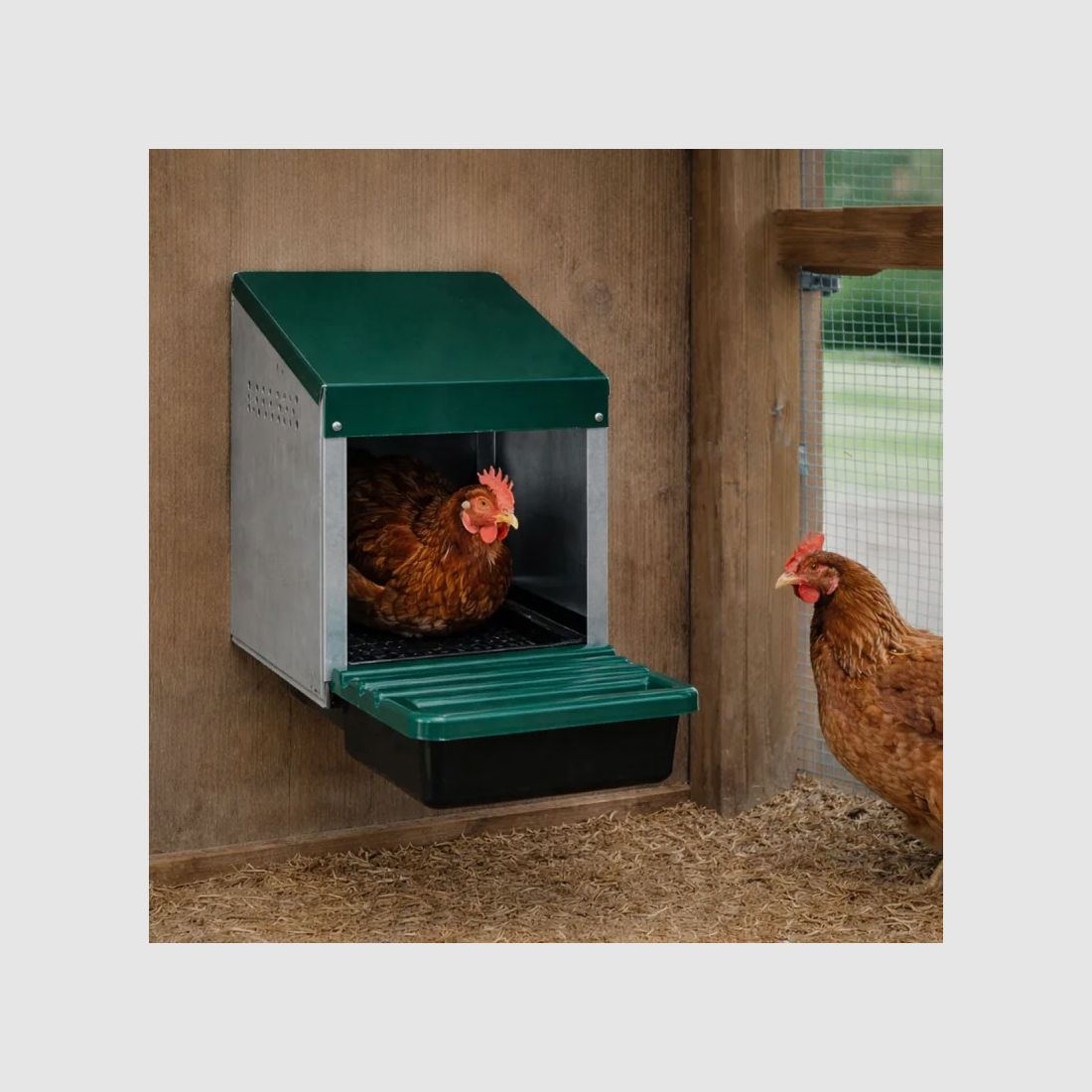 Hühnerbrutkasten Pro aus verzinktem Stahl 1 Nest, Bild 1 von 4