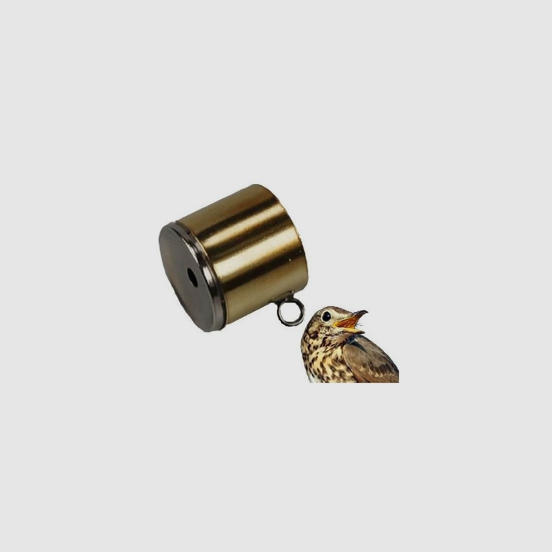 Roep voor liefdesthrush met behuizing