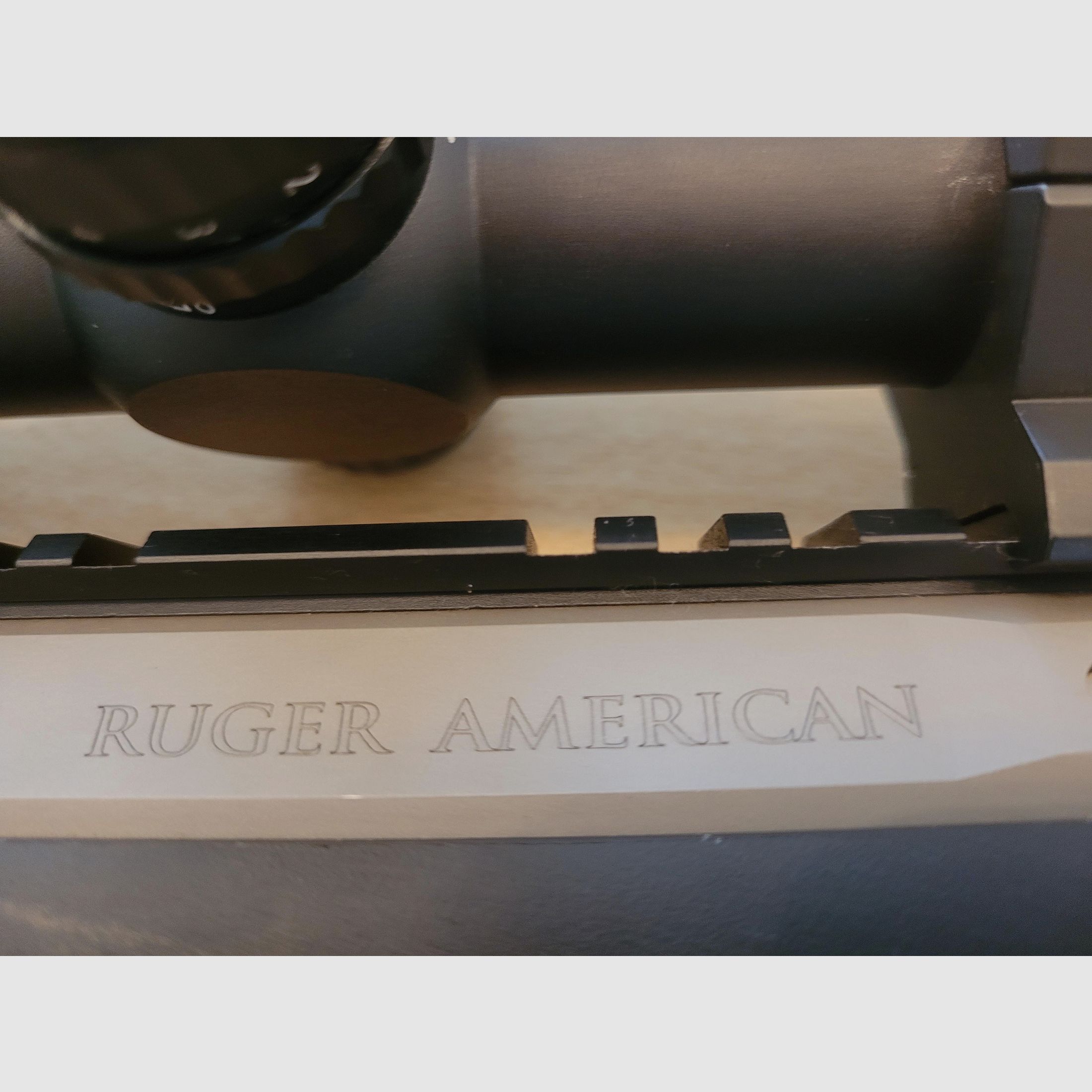 Fucile Magnum Ruger American .300 WinMag, il poco esigente con un po' di potenza, caccia in battuta, lunghe distanze
