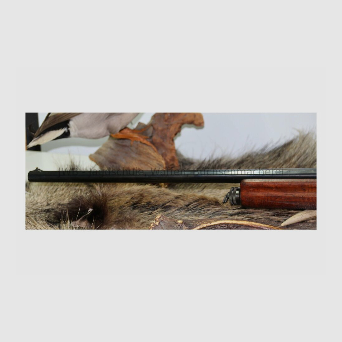 FN mit Docter Sight 16/65