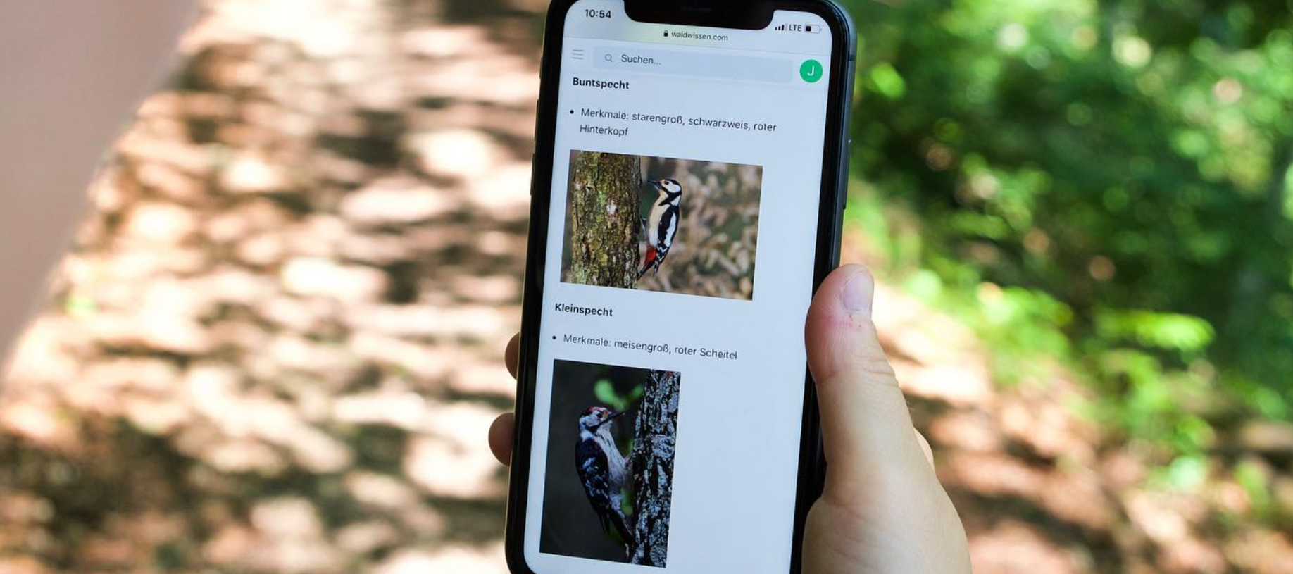 Waidwissen - die ideale App für Jagdschüler
