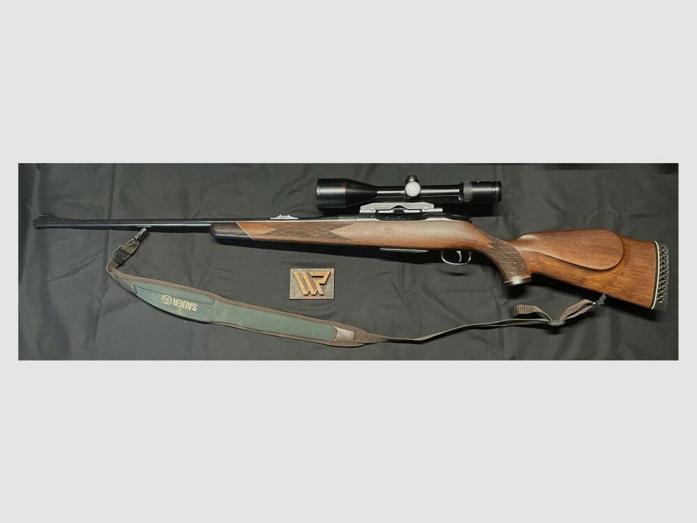 Sauer 80