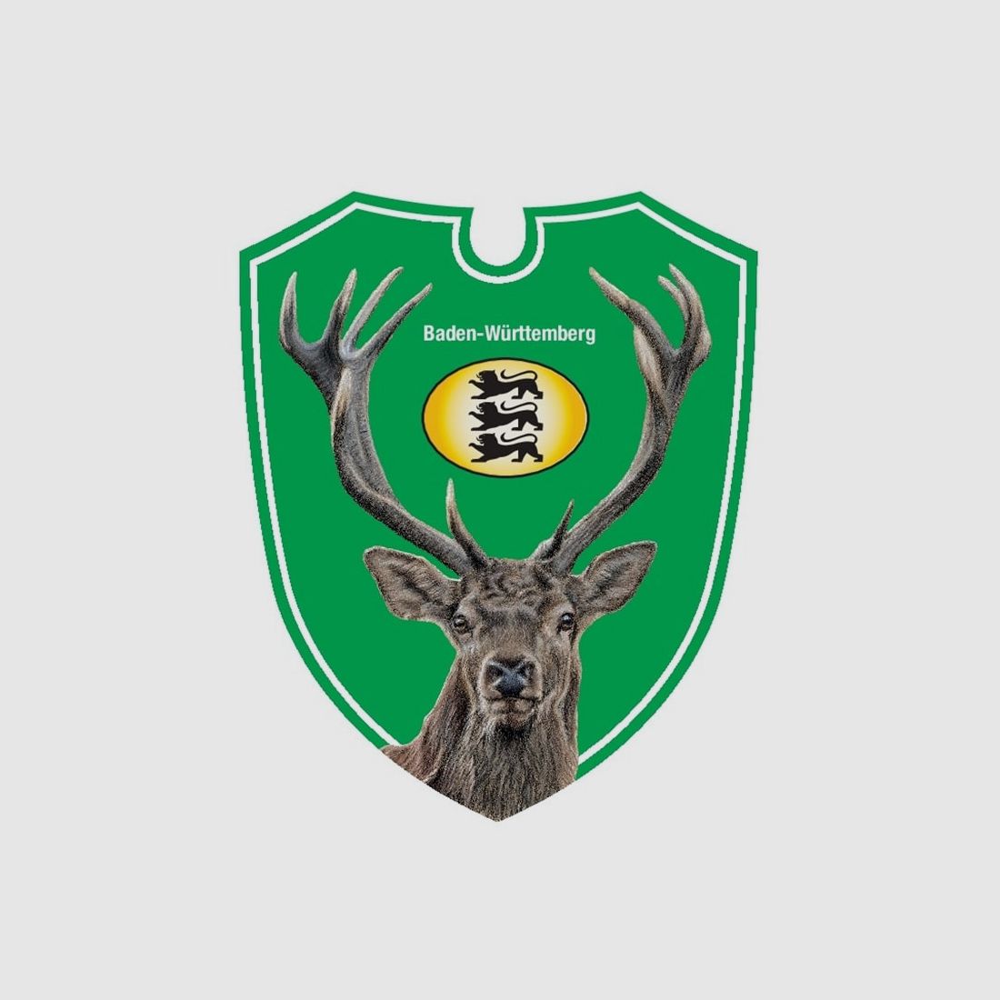 Panneaux de chasse auto à double optique blason d'état