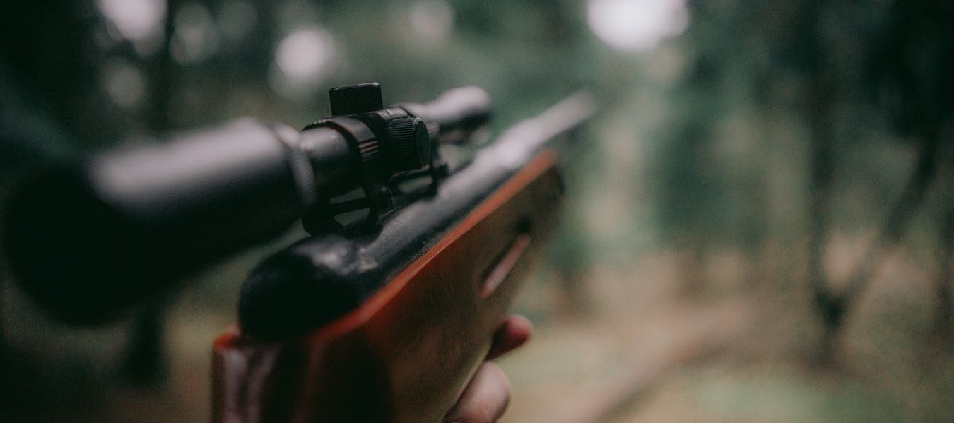 Langwaffen se traduit par "armes longues" en français.