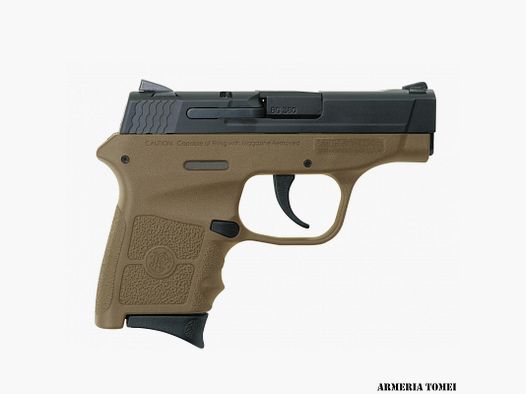 SMITH & WESSON SEMIAUTO M&P BODYGUARD 380 380ACP FDE +1C