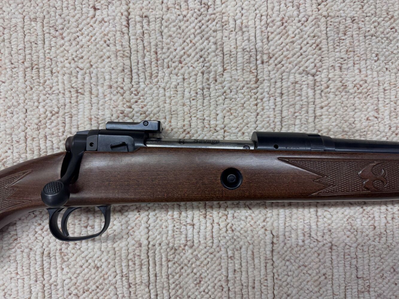 Savage 111