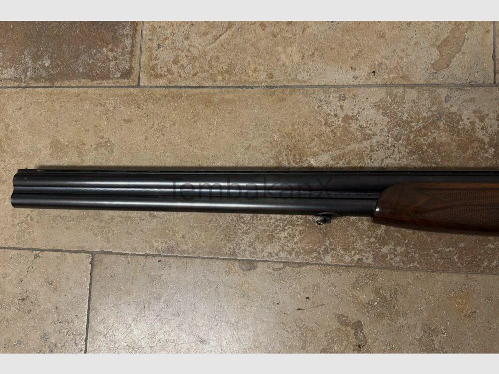 Sauer Beretta ohne 12/70