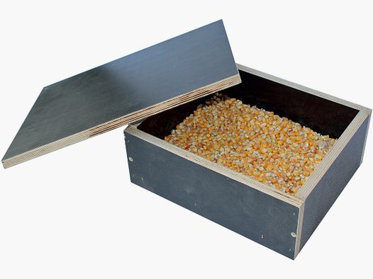 Kirrkiste Mod. Grimmig