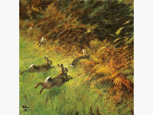 Servilleta conejo corriendo -