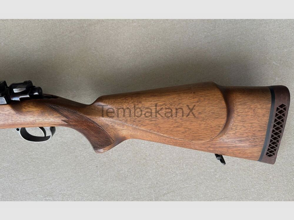 Mauser 1909 9.3x62