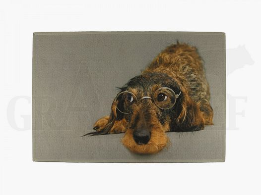 Wyściółka z Dackel z Okularkami 75 x 50 cm